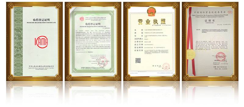Ageruo Certificate