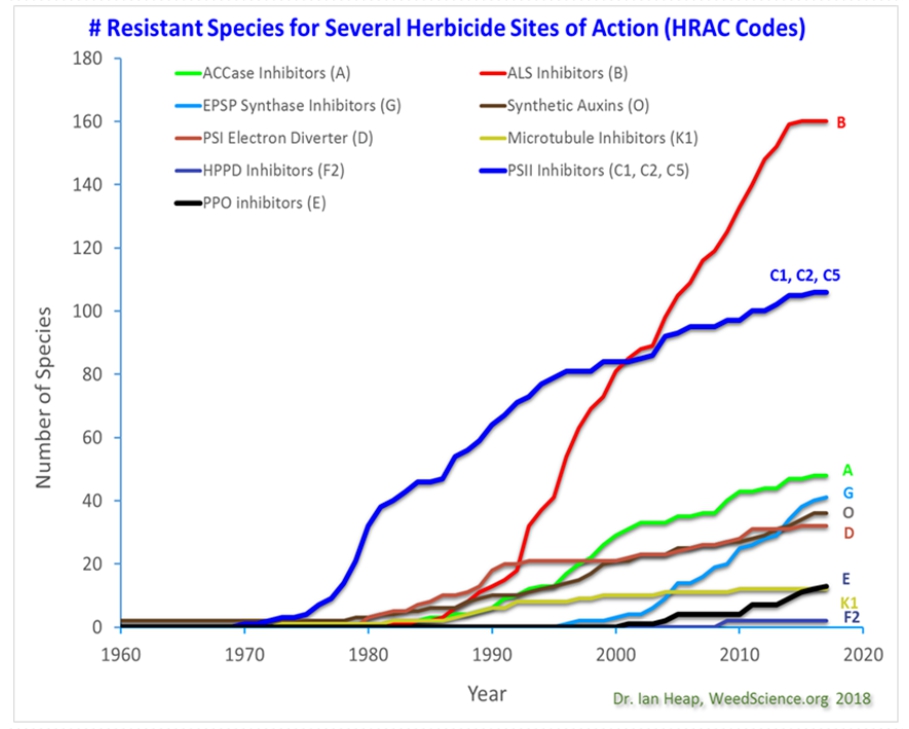 Triadimefon will usher in a new era for herbicide market in rice fields