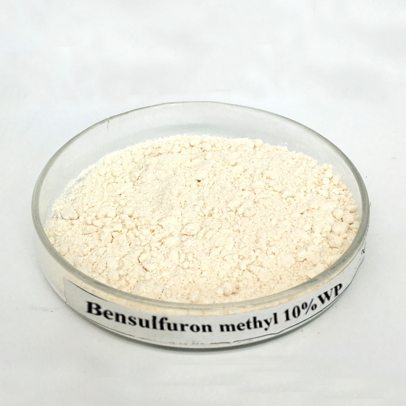 Cheap PriceList for Cppu - Bensulfuron methyl 10% WP Herbicide for controling broad-leaved weeds – AgeruoBiotech detail pictures