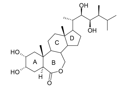 Be careful when using brassinolide!