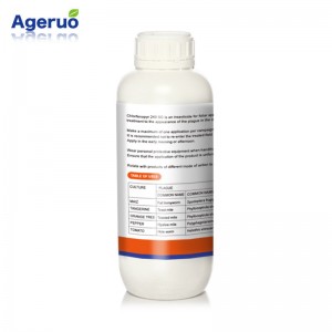 Chlorfenapyr 20% SC 24% SC kills pests in ginger fields