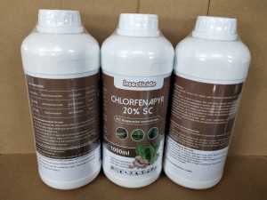 Chlorfenapyr 20% SC 24% SC kills pests in ginger fields