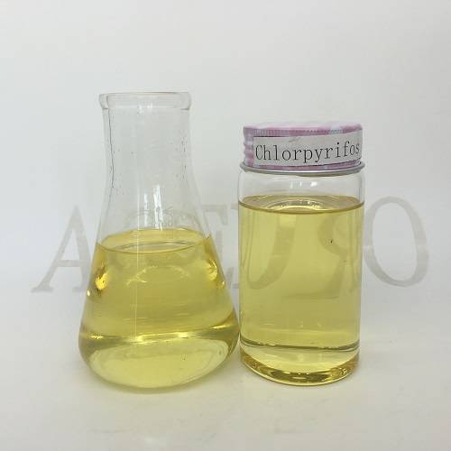 OEM Customized Alpha Cypermethrin 10 Ec - Chlorpyrifos 50% EC High Quality Agochemicals Pesticides Insecticides – AgeruoBiotech detail pictures