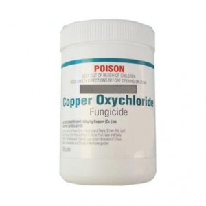 OEM Green Powder Fungicide Copper Oxychloride 50 Wp Price