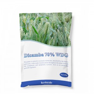 Free Sample Weed Killer Herbicide Dicamba 48% SL as Suppliers Technical Price Customized Label