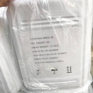 Plant Growth Accelerator ethephon 480g/l SL