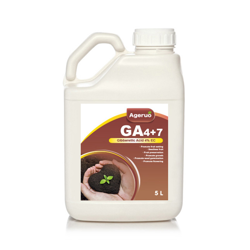 GA4+7