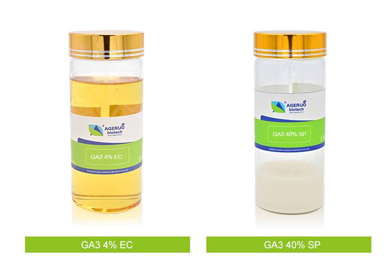 Gibberellic Acid