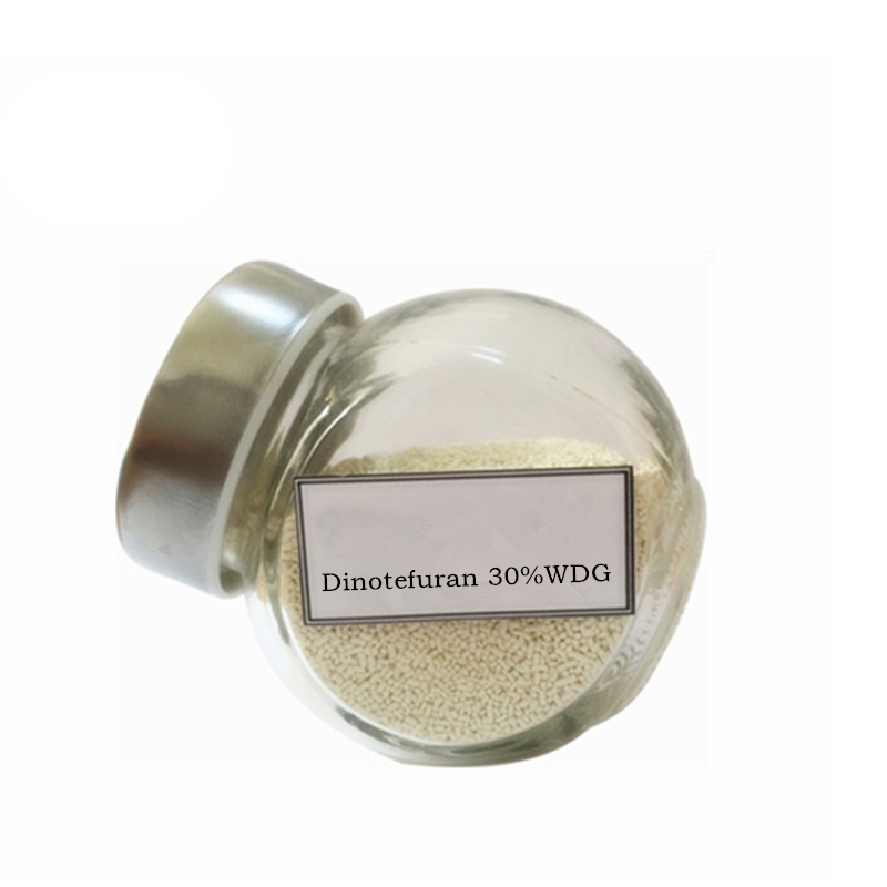 Best Price for Price Indoxacarb - Agrochemicals Pesticides 20%SG Dinotefuran from factory – AgeruoBiotech detail pictures