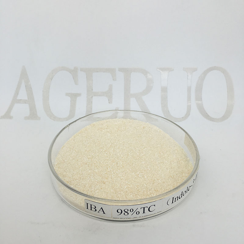Fast delivery Atrazine - Agrochemicals Pesticides 98%TC IBA (Indole-3-Butyric Acid ) with fast delivery – AgeruoBiotech detail pictures