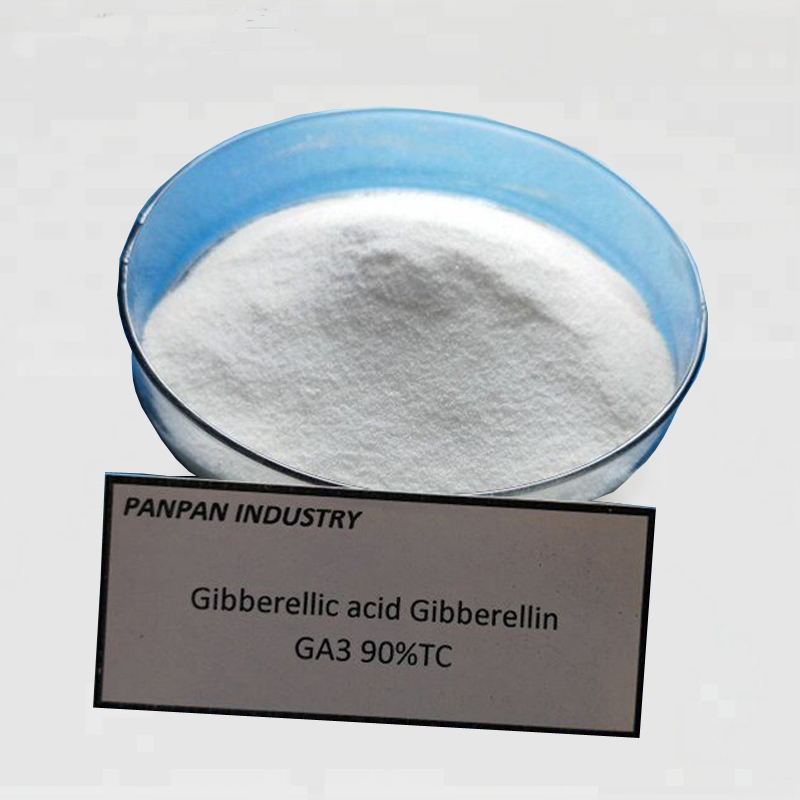 Good quality Glyphosate - plant growth regulator GA3 gibberellic acid(ga3) 20%SP , ga4+7 – AgeruoBiotech detail pictures