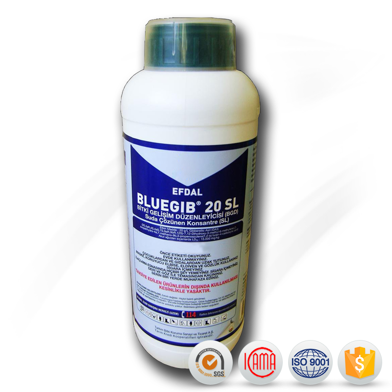 China wholesale Plant Hormone - GA3 Gibberellic acid 10%SP plant growth regulator – AgeruoBiotech detail pictures