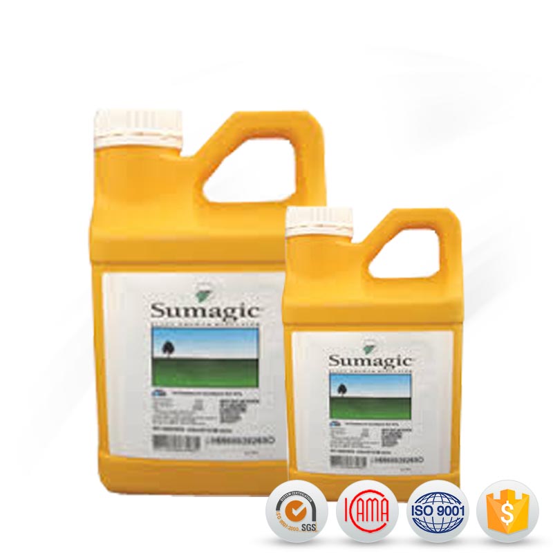 2019 Good Quality Chlorothalonil - Uniconazole 40%WDG – AgeruoBiotech detail pictures