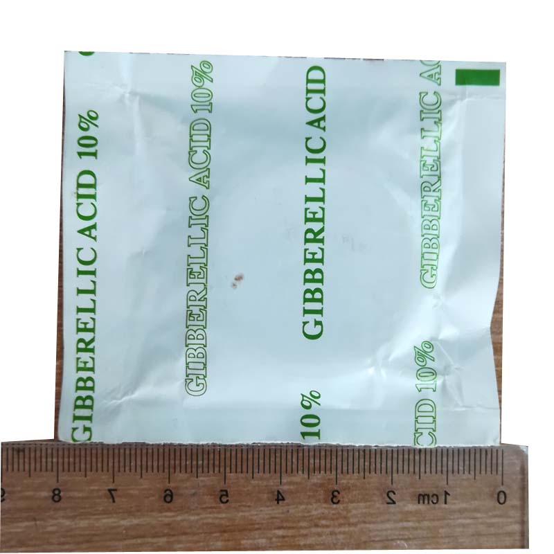 China wholesale Plant Hormone - GA3 Gibberellic acid 10%SP  plant growth regulator – AgeruoBiotech