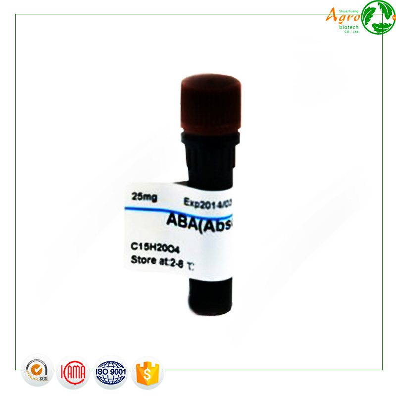 High Quality for Tribenuron-Methyl - Names chemical herbicide Abscisic Acid S-ABA 1-10%SL – AgeruoBiotech detail pictures