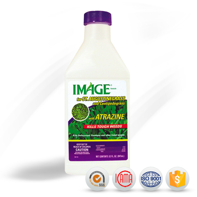 Hot New Products Metaldehyde Price - simazine Agrochemical Herbicide Atrazine 80 WP price for sale – AgeruoBiotech detail pictures