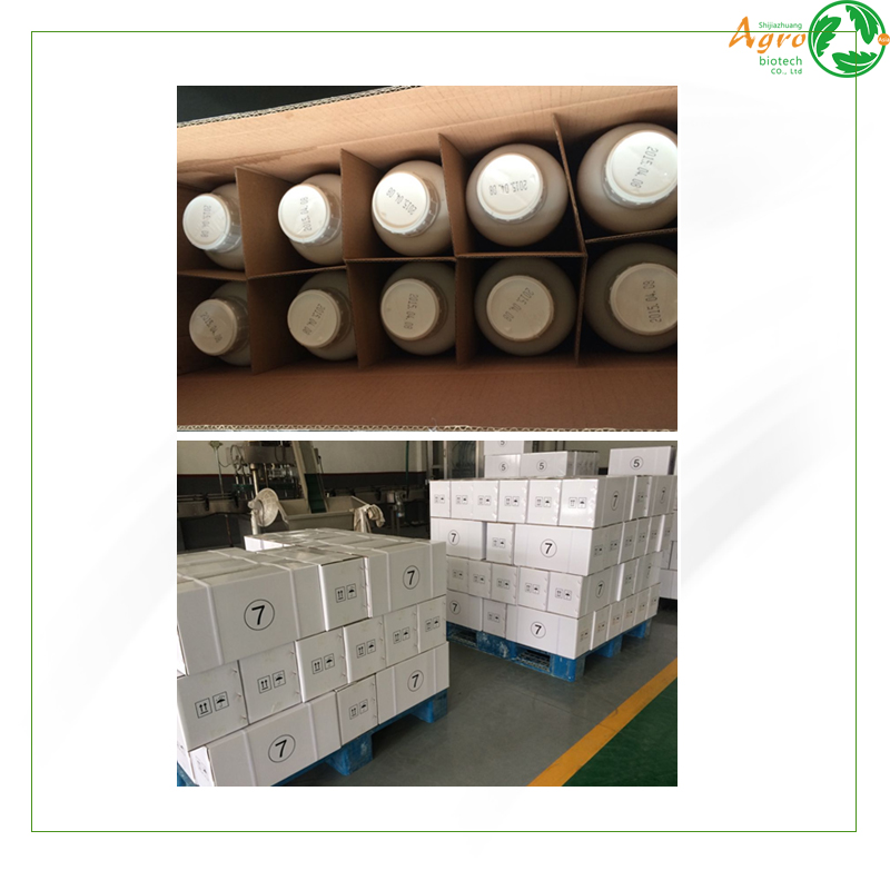 High Effective Alpha-cypermethrin 10% EC from China supplier
