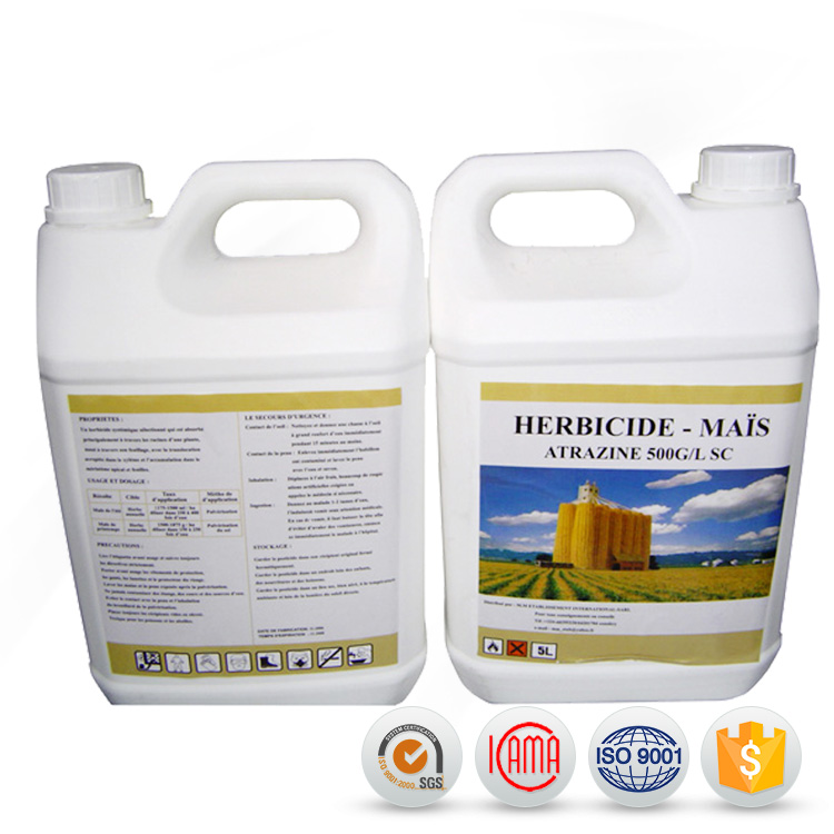 Hot New Products Metaldehyde Price - simazine Agrochemical Herbicide Atrazine 80 WP price for sale – AgeruoBiotech detail pictures