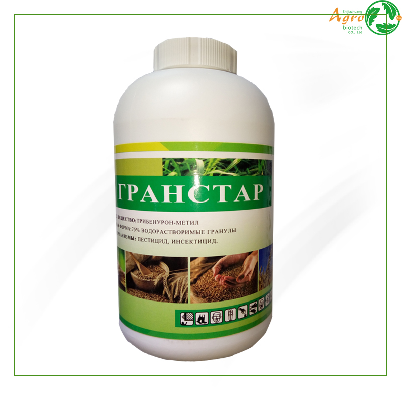 2019 High quality Herbicide Atrazine - Tribenuron-methyl 75%WDG herbicide Tribenuron-methyl 75%WDG – AgeruoBiotech detail pictures