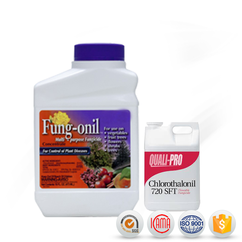 High Quality for Abamectin 1.8% Ec - Professional price chlorothalonil 75 wp with high quality – AgeruoBiotech detail pictures