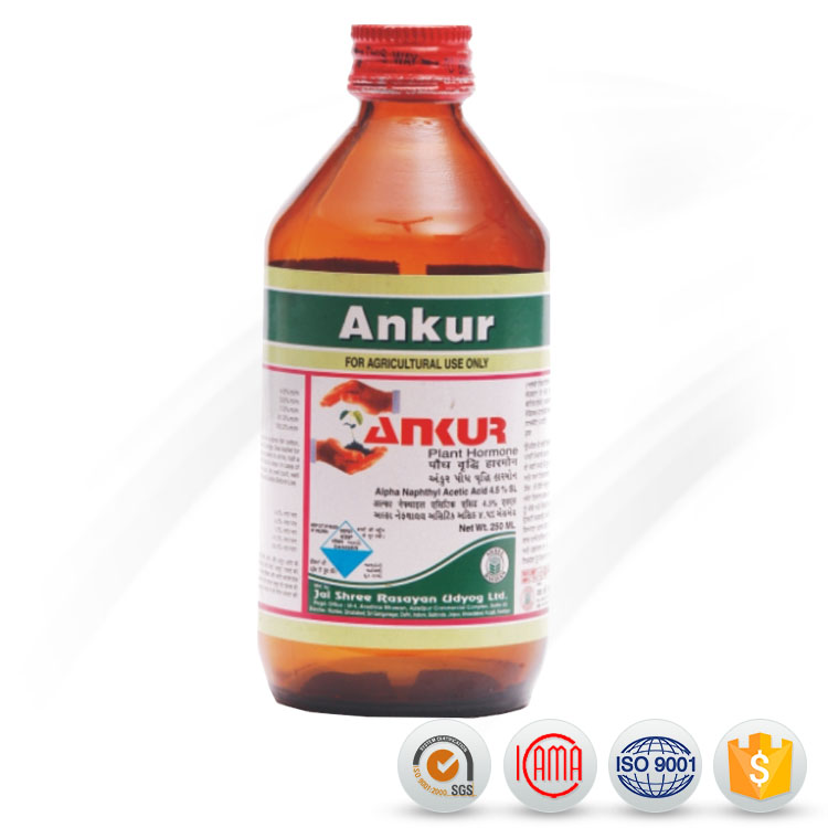 PriceList for Trifluralin - Good supplier of agrochemicals Pesticides 98%TC NAA (Napthylacetic Acid) – AgeruoBiotech