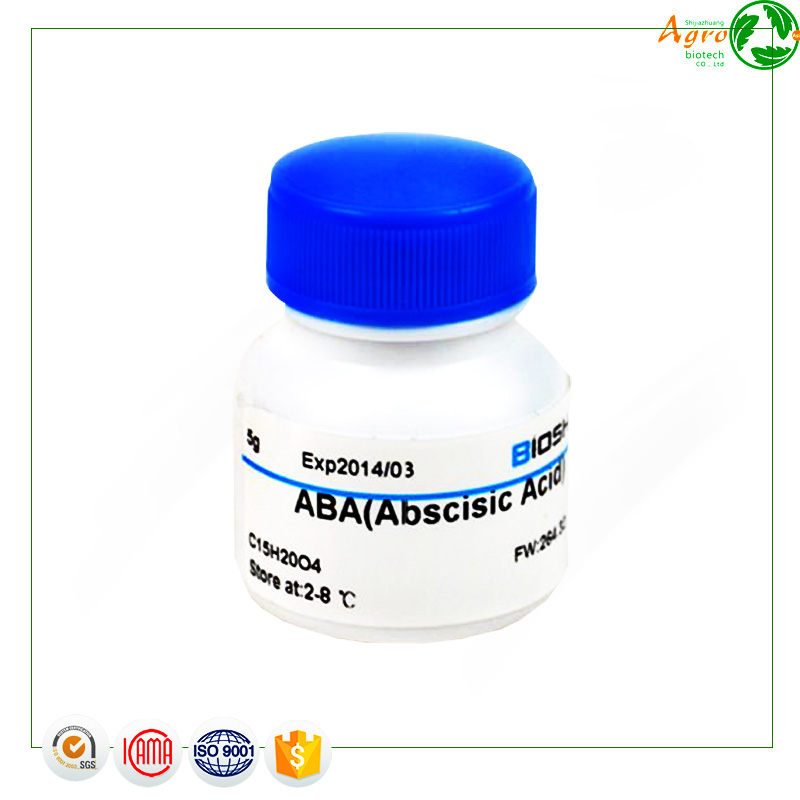 High Quality for Tribenuron-Methyl - Names chemical herbicide Abscisic Acid S-ABA 1-10%SL – AgeruoBiotech detail pictures