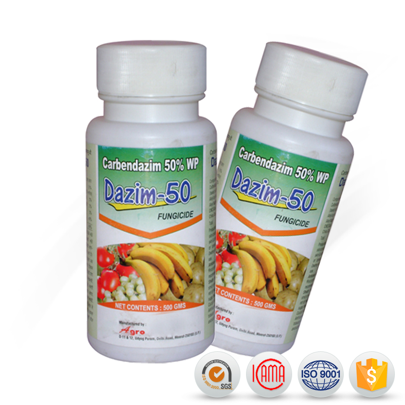 Reasonable price Amitraz Taktic - Fungicide agriculture Carbendazim 50%WP price Carbendazim 50%WP – AgeruoBiotech detail pictures
