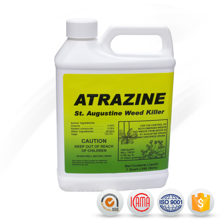 Hot New Products Metaldehyde Price - simazine Agrochemical Herbicide Atrazine 80 WP price for sale – AgeruoBiotech detail pictures