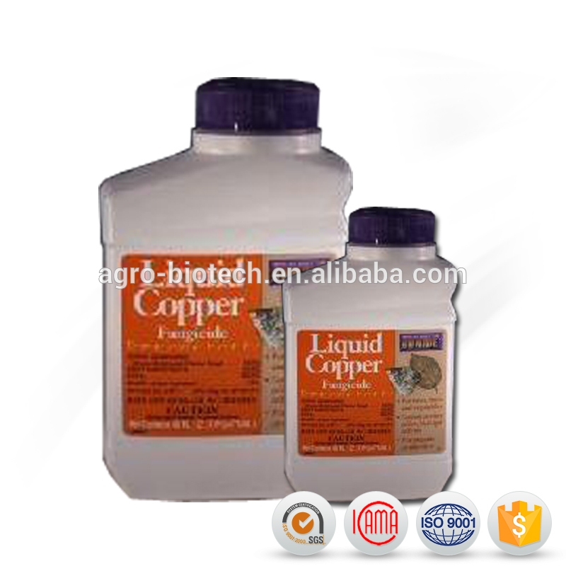 Bottom price Pymetrozine Price - High quality of agrochemical Pesticides fungicides 250g/L EC Difenoconazole – AgeruoBiotech detail pictures
