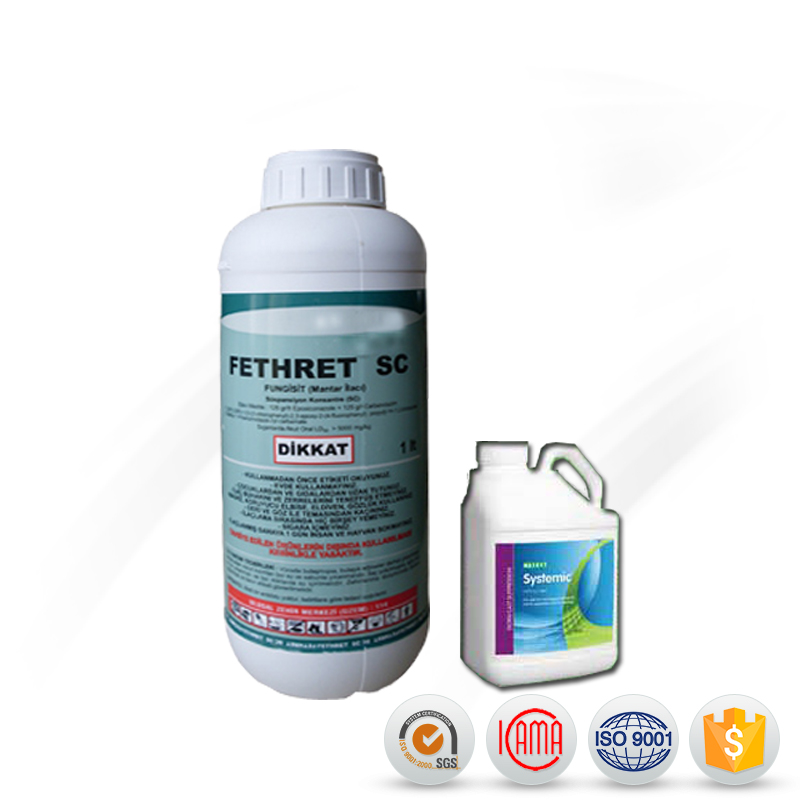 Reasonable price Amitraz Taktic - Fungicide agriculture Carbendazim 50%WP price Carbendazim 50%WP – AgeruoBiotech detail pictures