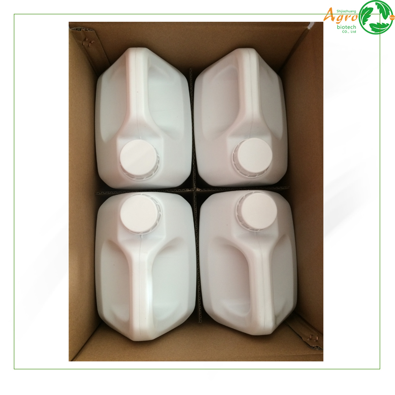 High Quality Nitenpyram Insecticide - High Effective Alpha-cypermethrin 10% EC from China supplier – AgeruoBiotech detail pictures