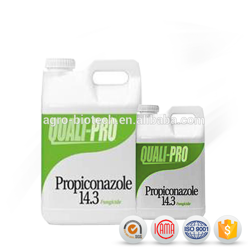 Bottom price Pymetrozine Price - High quality of agrochemical Pesticides fungicides 250g/L EC Difenoconazole – AgeruoBiotech detail pictures