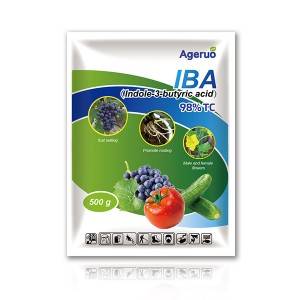 Indole-3-butyric acid 98% TC of Ageruo IBA for Rooting Hormone