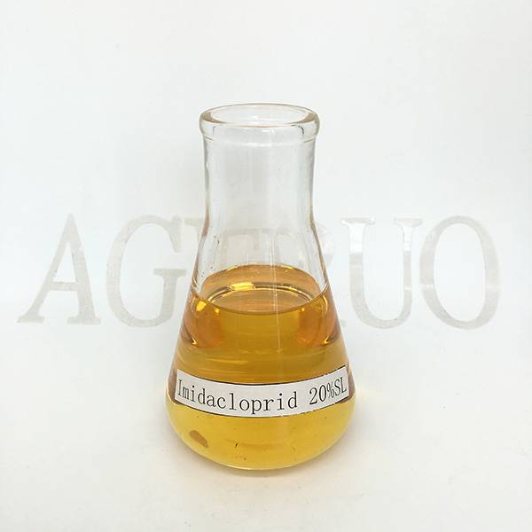 New Fashion Design for Deltamethrin Powder - Imidacloprid 20% SL High Quality Pesticide Insecticide – AgeruoBiotech detail pictures