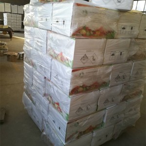 Mancozeb 80% WP prevent downy mildew with High Quality