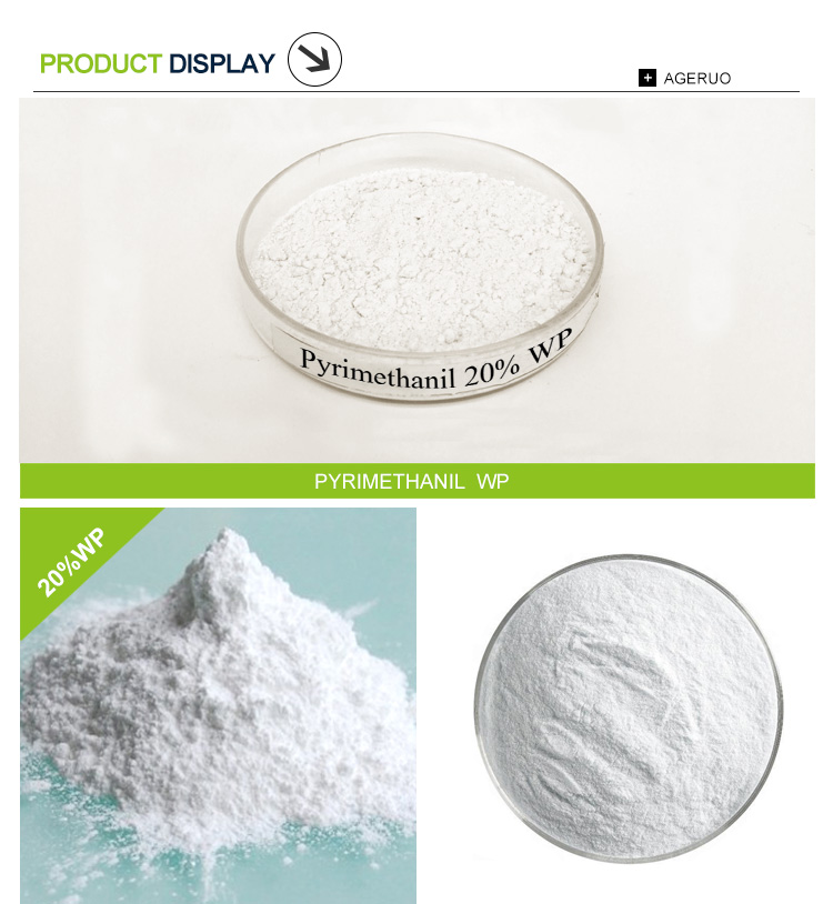 Pyrimethanil (1)