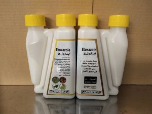 wholesale Agricultural insecticide technology etoxazole miticide etoxazole 10 sc 20 sc Factory supply