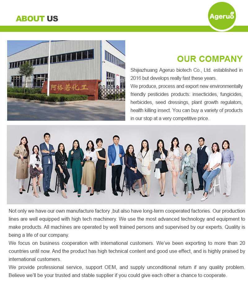 Shijiazhuang-Ageruo-Biotech-4