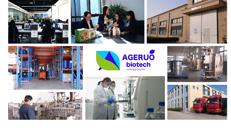 Shijiazhuang-Ageruo-Biotech-5