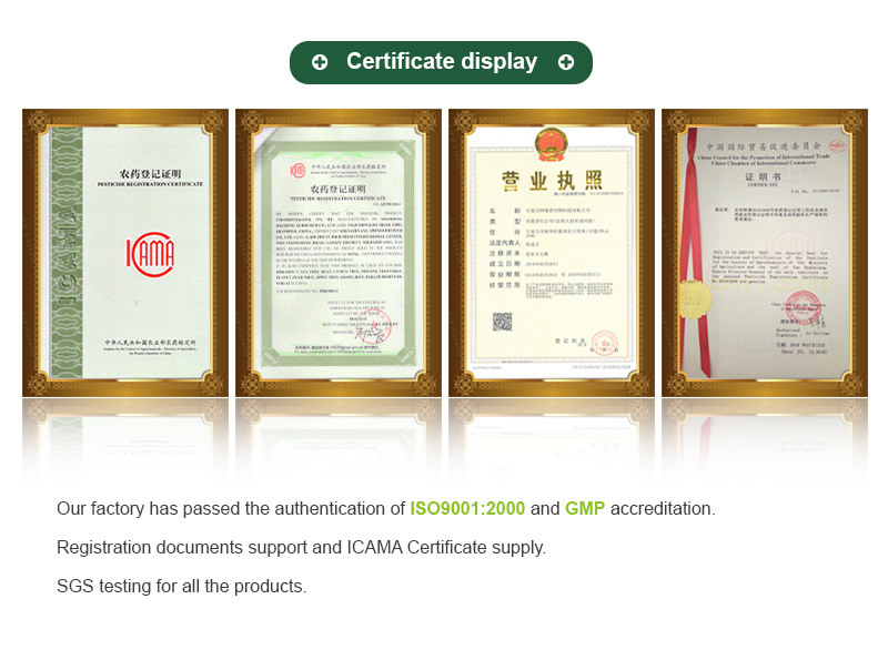 Shijiazhuang-Ageruo-Biotech-9