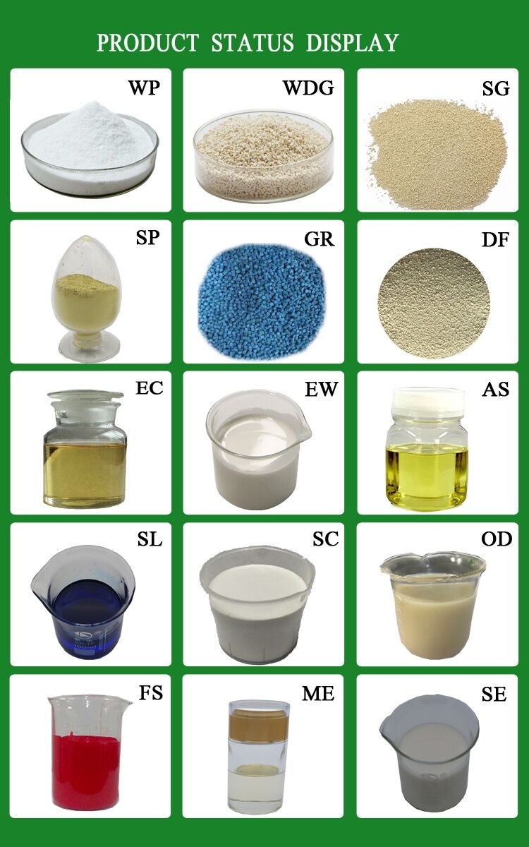 Insecticide-Thiamethoxam