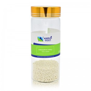 Herbicide Rimsulfuron Thifensulfuron Methyl 75% WDG 15% WP Factory Supplier