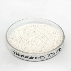 Fungicide Thiophanate methyl 70% WP Cure Bacterial Infection in varieties Crops