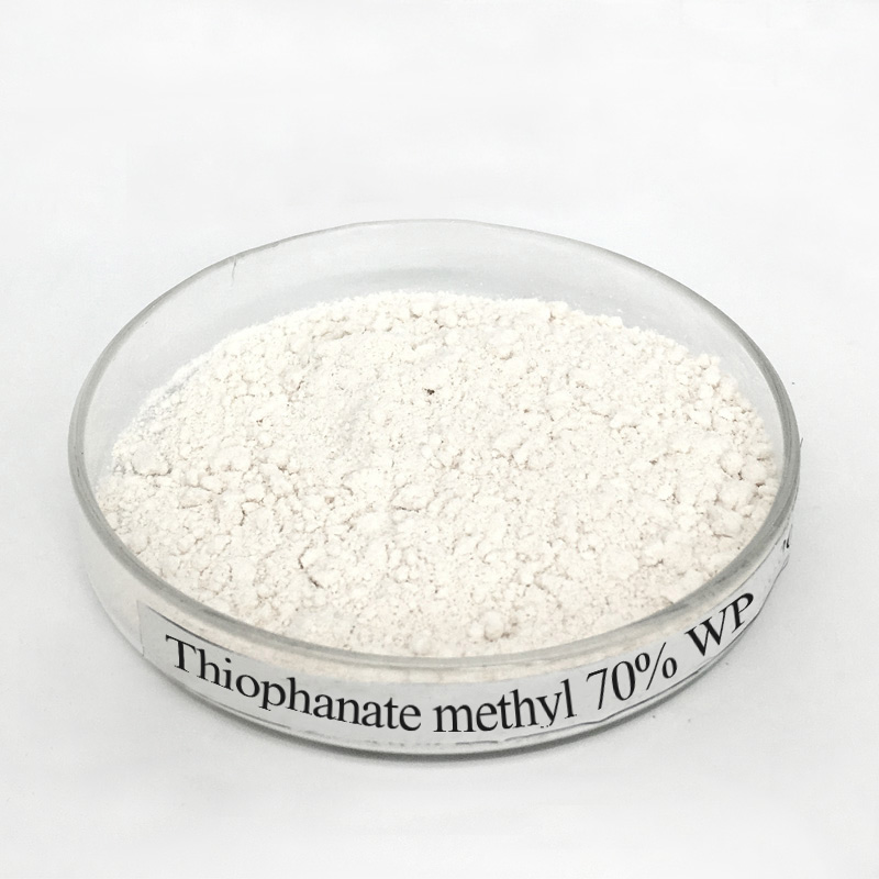 Factory wholesale Amitraz 12.5% Ec - Fungicide Thiophanate methyl 70% WP Cure Bacterial Infection in varieties Crops – AgeruoBiotech detail pictures