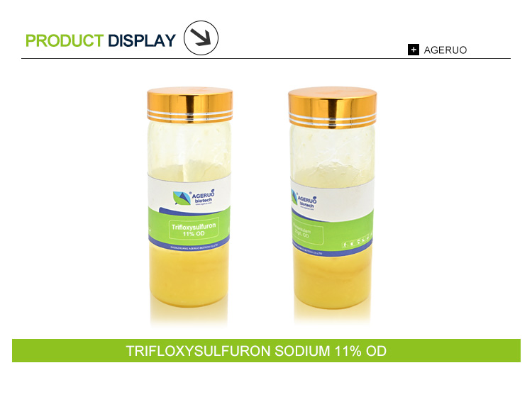 Trifloxysulfuron