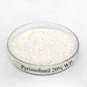 Fungicide Pyrimethanil 20% SC 40% SC 20% WP  for Tomato Botrytis desease