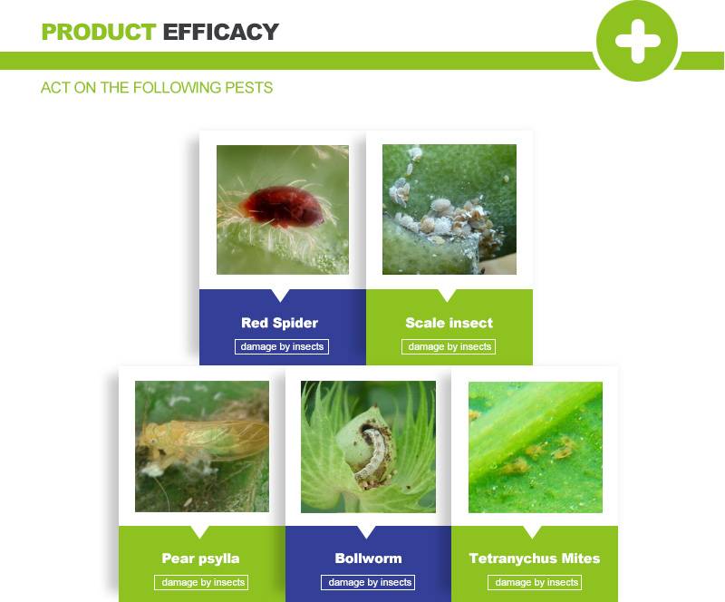 amitraz insecticida