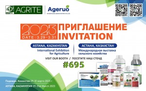 banner exhibition