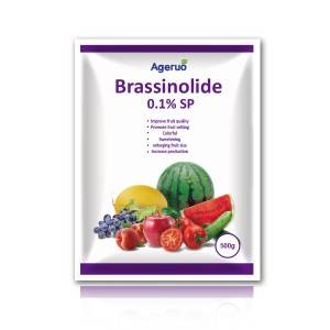 Ageruo 90% TC Brassinolide use of Natural Plant Hormone
