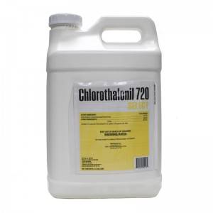 Chlorothalonil 75 wp with high quality professional price